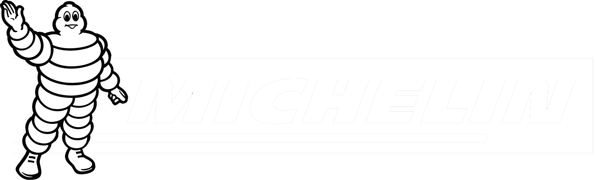 Michelin däck